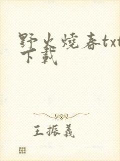 野火烧春txt下载