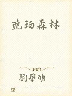 琥珀森林封面