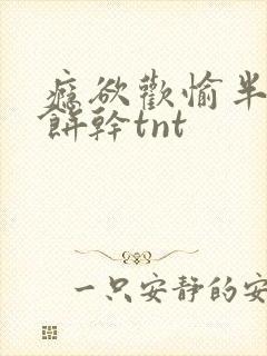 瘾欲欢愉半块小饼干tnt