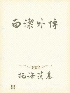 白洁外传