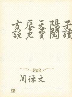 方辰天阳子的小说免费阅读