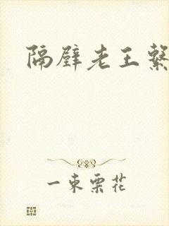 隔壁老王系统