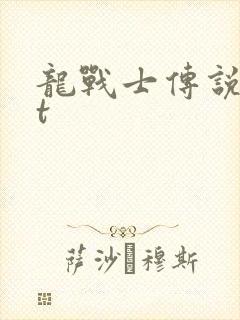龙战士传说txt