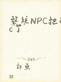系统NPC把我c了
