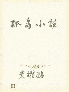 孤岛小说