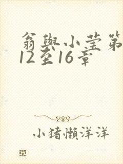 翁与小莹第十部12至16章