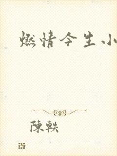 燃情今生小说