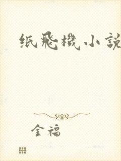 纸飞机小说