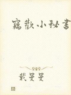 窃欢小秘书