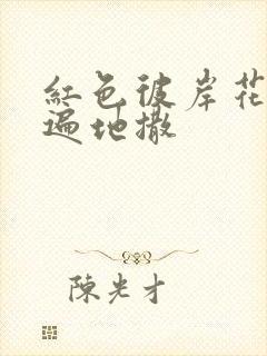 红色彼岸花花瓣遍地撒