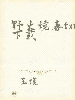 野火烧春txt下载