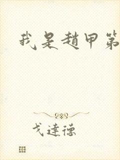 我是赵甲第小说