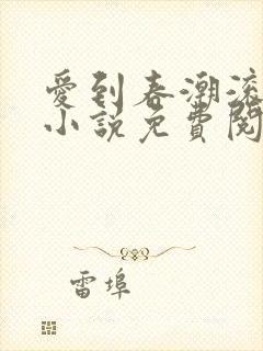 爱到春潮滚滚来小说免费阅读