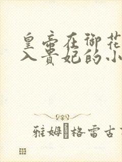 皇帝在御花园进入贵妃的小说