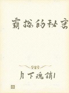 霸总的秘密教学封面