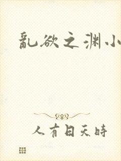 乱欲之渊小说封面