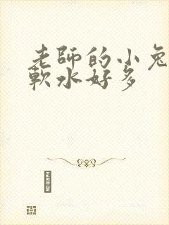 老师的小兔子好软水好多