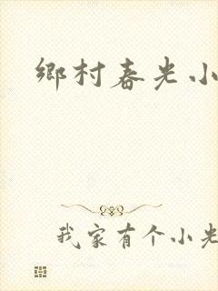 乡村春光小说