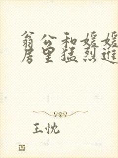 翁公和媛媛在厨房里猛烈进出封面