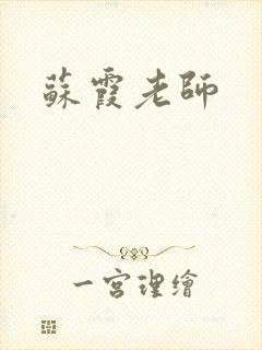 苏霞老师