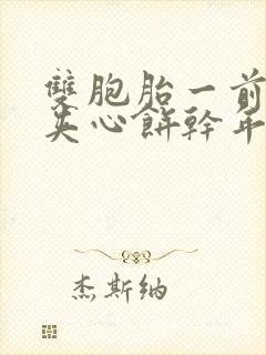 双胞胎一前一后夹心饼干年下