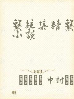 系统集精系统 小说