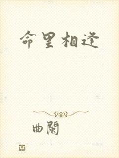 命里相逢封面