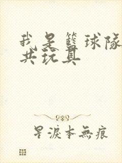 我是篮球队的公共玩具