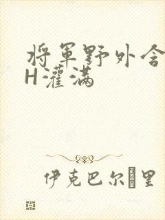 将军野外含公主H灌满封面