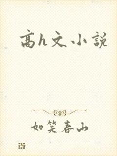 高h文小说