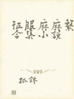 征服麻麻系列大合集小说