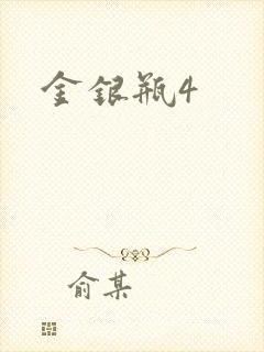金银瓶4封面