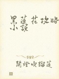 黑莲花攻略手册小说