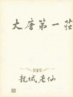大唐第一庄