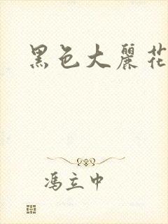 黑色大丽花图片