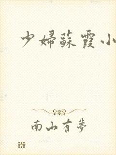 少妇苏霞小说