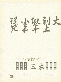从小做到大骨科兄弟年上
