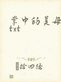 掌中的美母版主txt封面