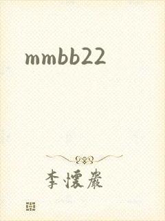 mmbb22封面