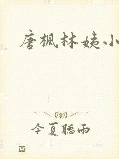 唐枫林姨小说
