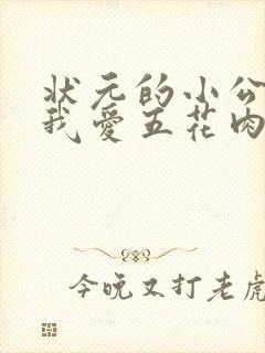 状元的小公主(我爱五花肉)