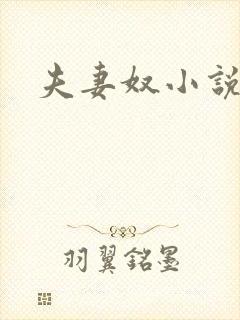 夫妻奴小说