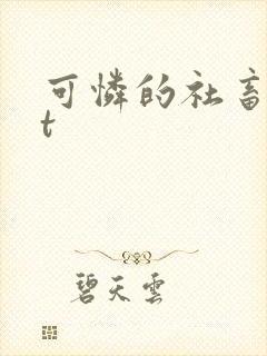 可怜的社畜txt