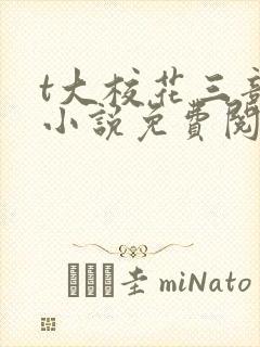 t大校花三部曲小说免费阅读全文