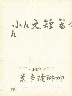 小h文短篇合集h