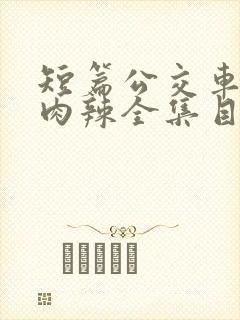 短篇公交车高h肉辣全集目录