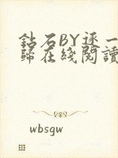 钻石BY逐一而归在线阅读