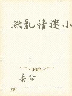 欲乱情迷小说