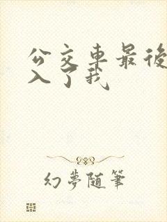公交车最后一排入了我封面