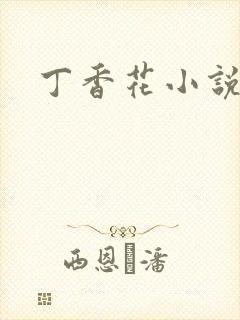 丁香花小说